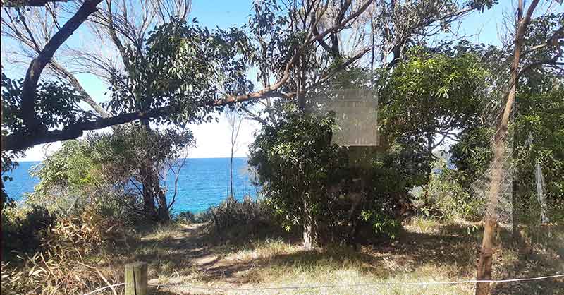 beach view camping at Mystery Bay
